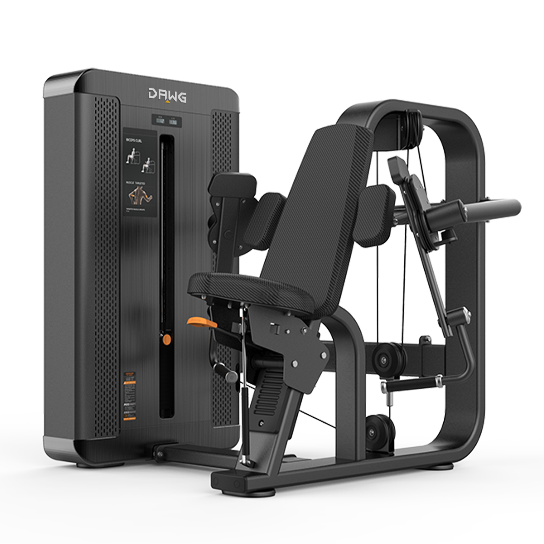 PACK Biceps Curl