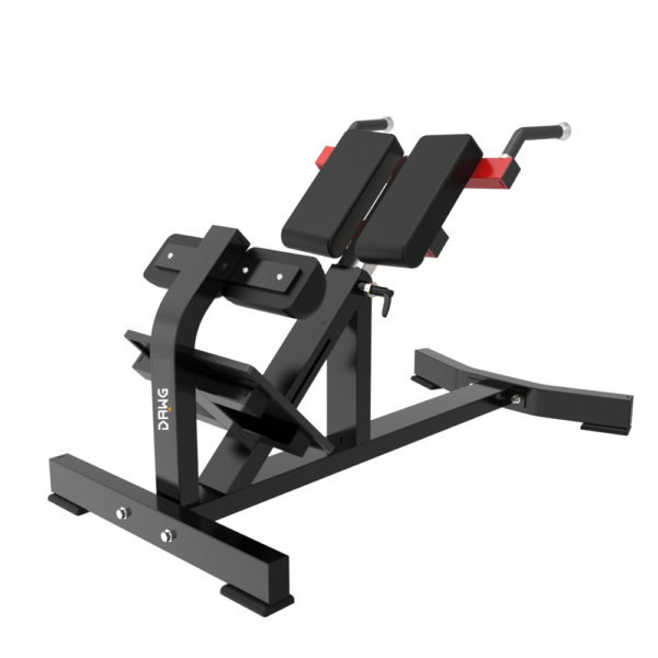 ALPHA TM11 Back Extension