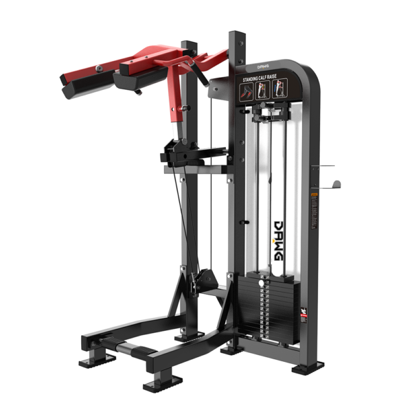 ALPHA HS18 Standing Calf Raise