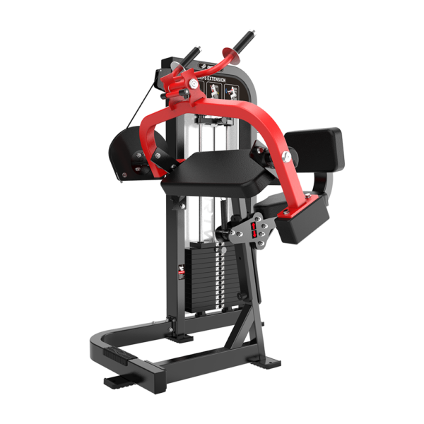 ALPHA HS10 Triceps Extension